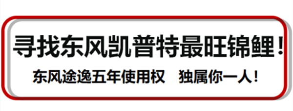 买一送逸活动来啦！
