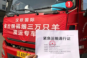 蒙古国送的3万只羊，东风商用车给您接回来啦！