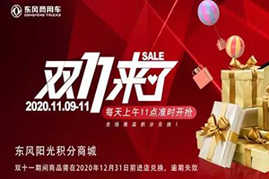 “双十一”好评！“可靠”东风商用车赢客户赞誉