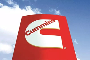 你好，康明斯！