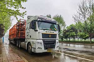 不只省油、舒适 汕德卡C7H自动挡万博体育app下载入口
更多设计见品质