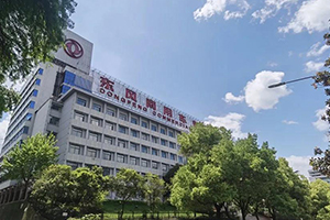 见证可靠力量 东风商用车致敬中国品牌日 