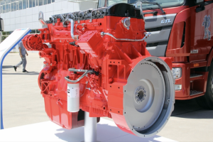 奋进十年，福康与欧曼“一路生花”